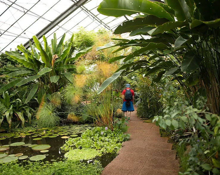 University of Dundee Botanic Garden, United Kingdom
